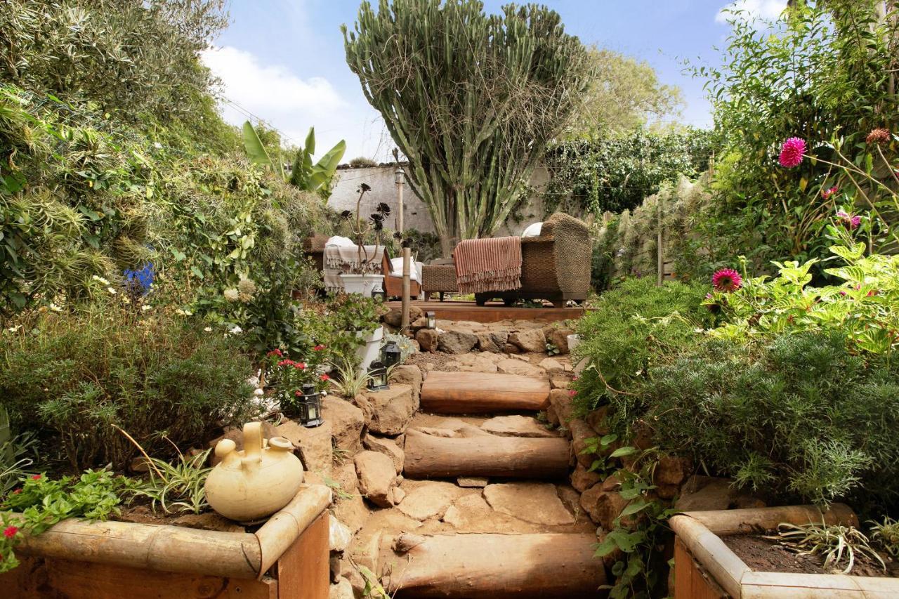 Apartamento Jardin Del Sol Tacoronte Extérieur photo